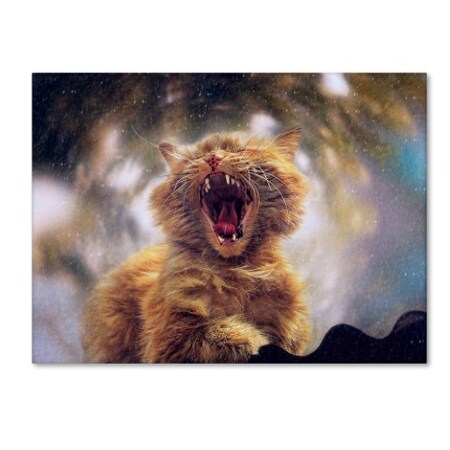 Trademark Fine Art Svetlana Melik Nubarova 'Dialing Spring' Canvas Art, 35x47 1X03467-C3547GG